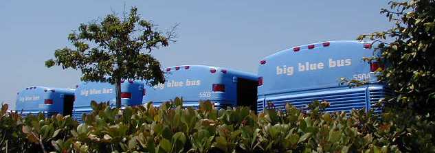 Santa Monica Big Blue Bus MCI D4500 coaches 5501-5504
